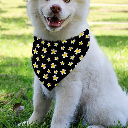 Black Plumeria Flower Pattern Print Over The Collar Dog Bandana