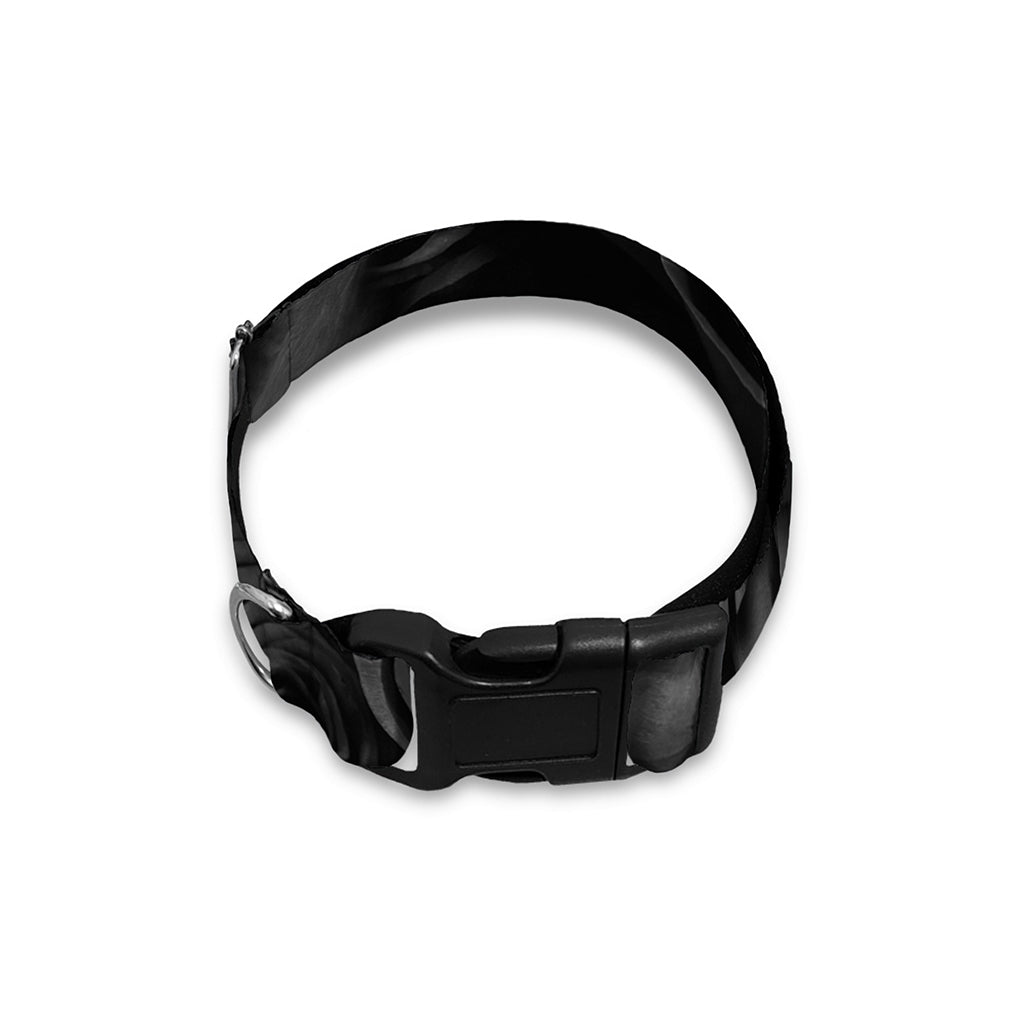 Black Rose Print Dog Collar