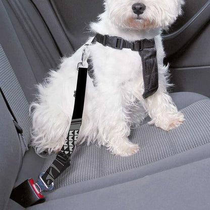Black Samurai Skull Print Dog Seat Belt
