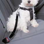 Black Snake Print Dog Seat Belt