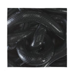 Black Snake Print Silk Bandana