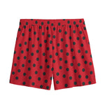 Black Spots Ladybird Pattern Print Mesh Shorts