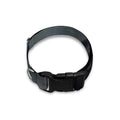Black Stallion Horse Print Dog Collar