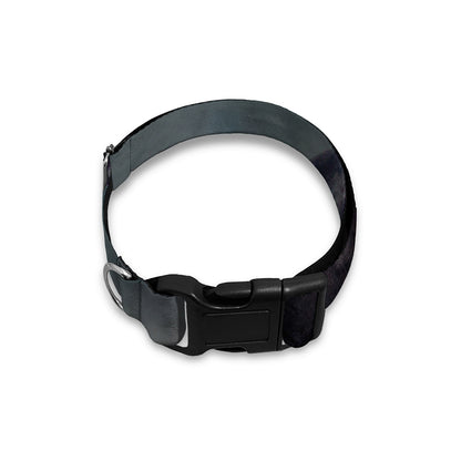 Black Stallion Horse Print Dog Collar