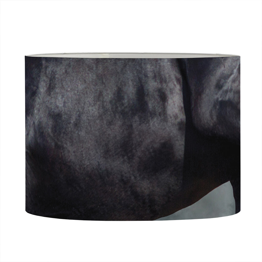 Black Stallion Horse Print Drum Lamp Shade