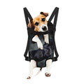 Black Stallion Horse Print Pet Carrier Backpack