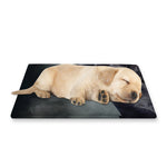 Black Stallion Horse Print Pet Cooling Mat Cover