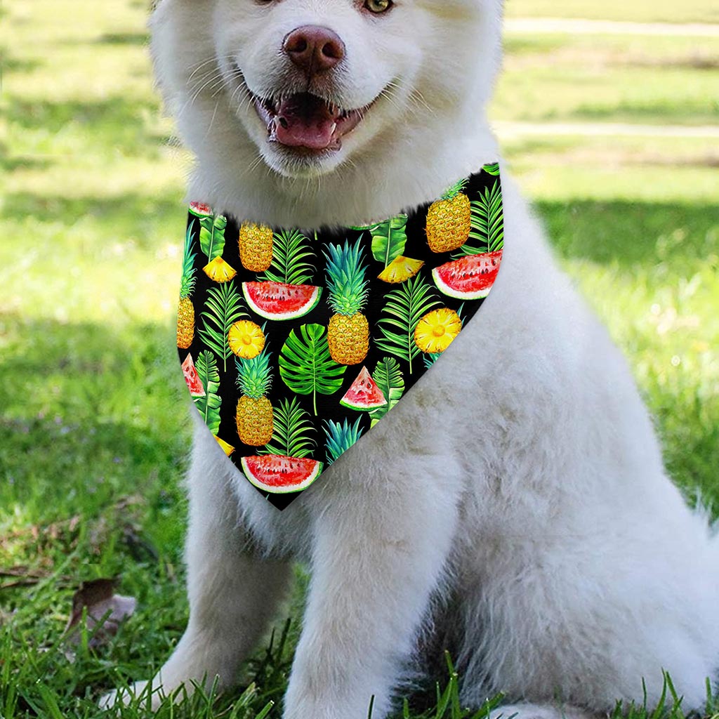 Black Tropical Pineapple Pattern Print Over The Collar Dog Bandana