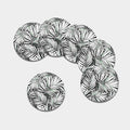 Black White Tropical Leaf Pattern Print Leather Coaster Set