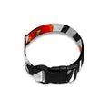 Black White Zebra Flower Pattern Print Dog Collar