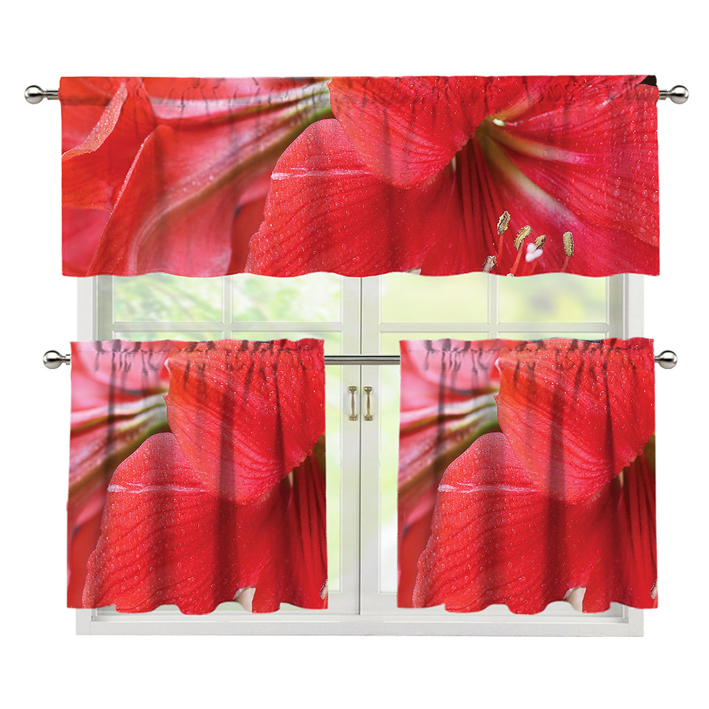Blooming Amaryllis Print 3 Piece Kitchen Curtains