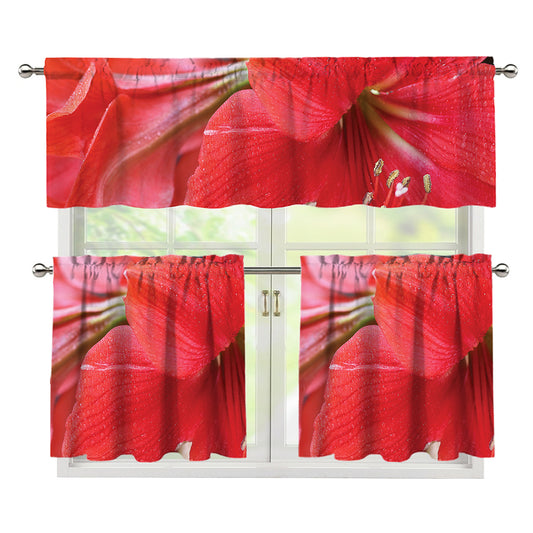 Blooming Amaryllis Print 3 Piece Kitchen Curtains
