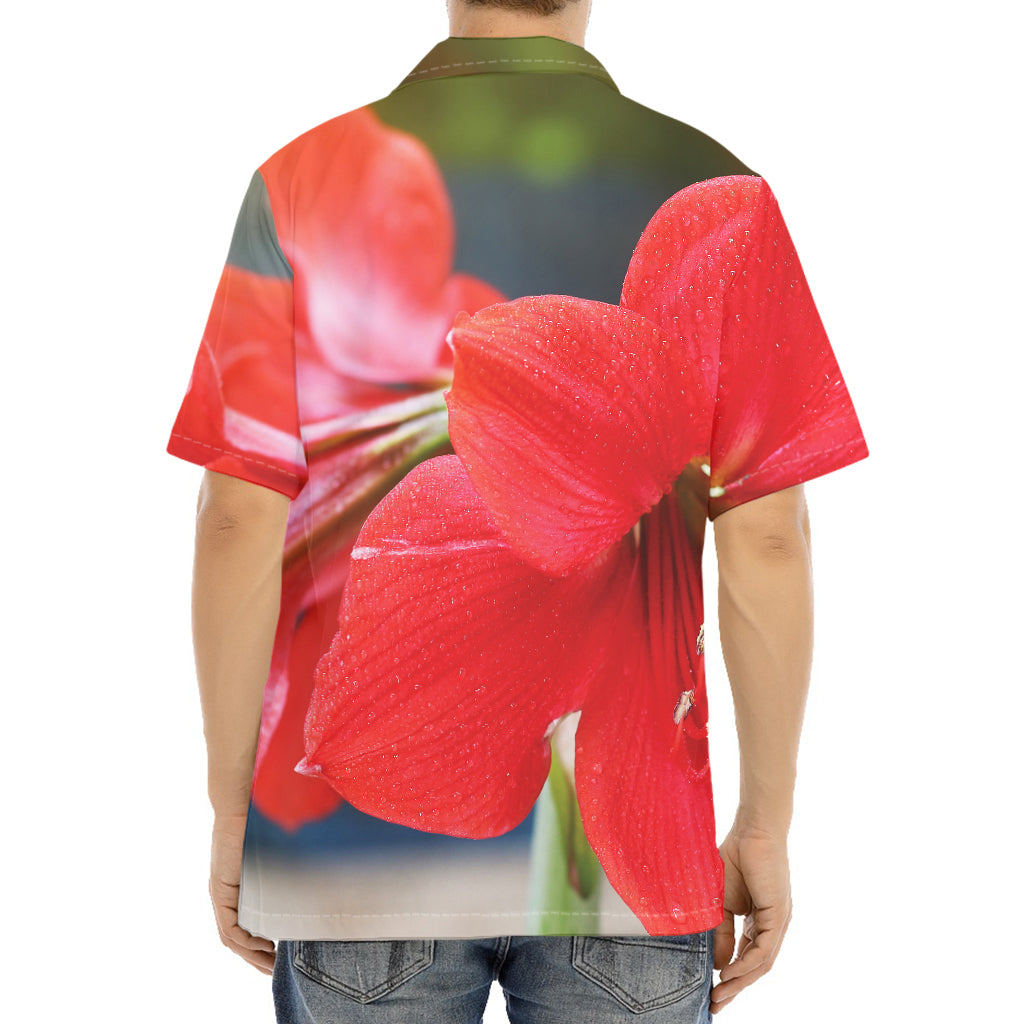 Blooming Amaryllis Print Aloha Shirt