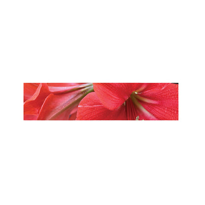 Blooming Amaryllis Print Bed Runner