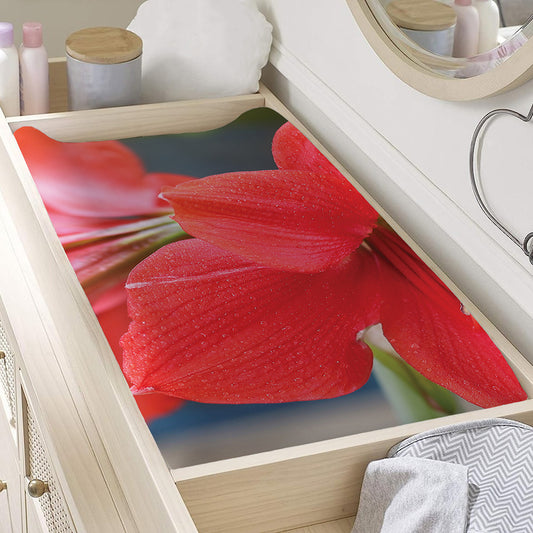 Blooming Amaryllis Print Changing Pad Cover