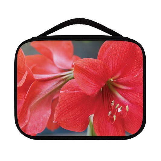 Blooming Amaryllis Print Classic Bible Case