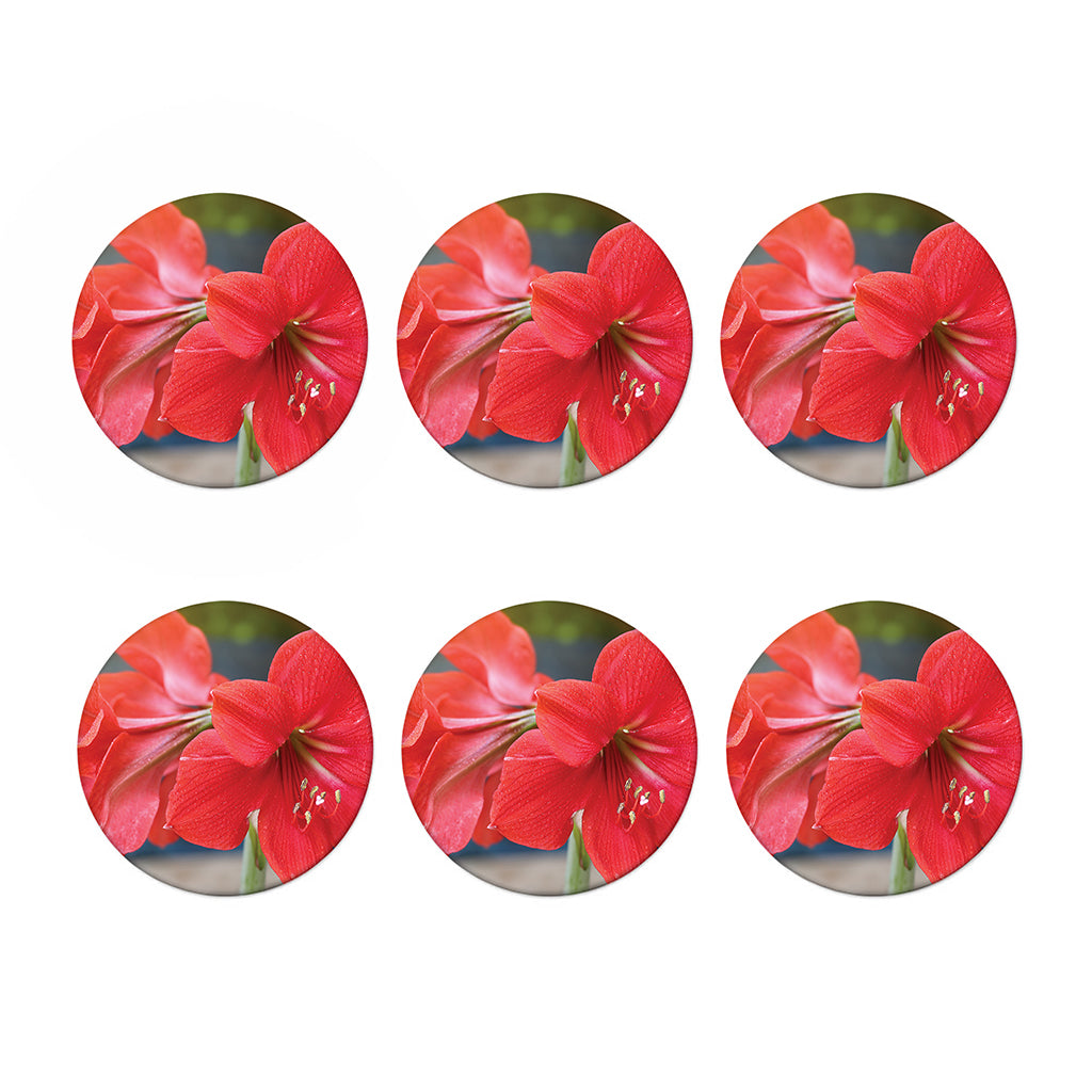Blooming Amaryllis Print Coaster Set