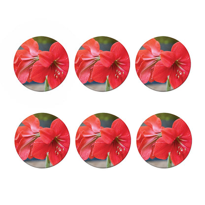 Blooming Amaryllis Print Coaster Set