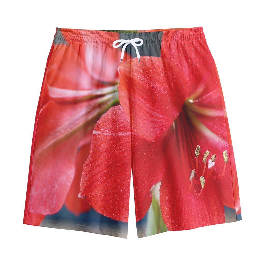 Blooming Amaryllis Print Cotton Shorts