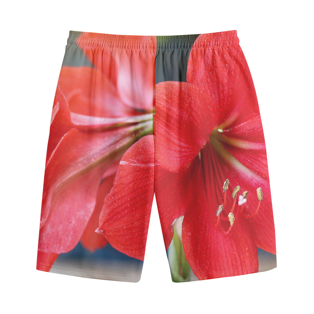 Blooming Amaryllis Print Cotton Shorts