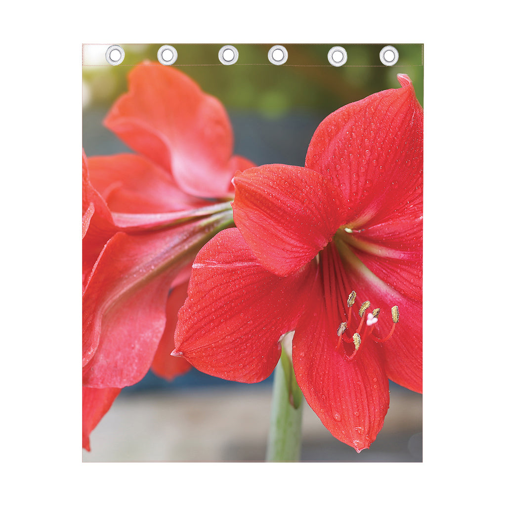 Blooming Amaryllis Print Curtain