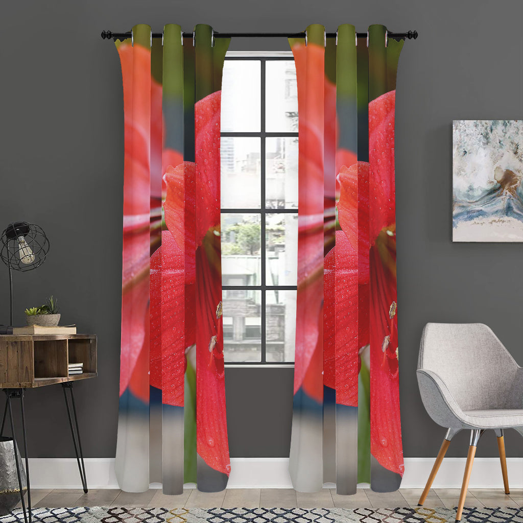 Blooming Amaryllis Print Curtain