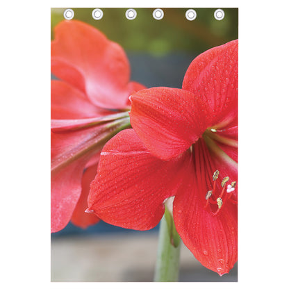 Blooming Amaryllis Print Curtain