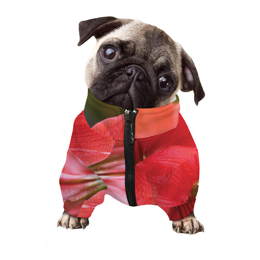Blooming Amaryllis Print Dog Zip Up Jacket