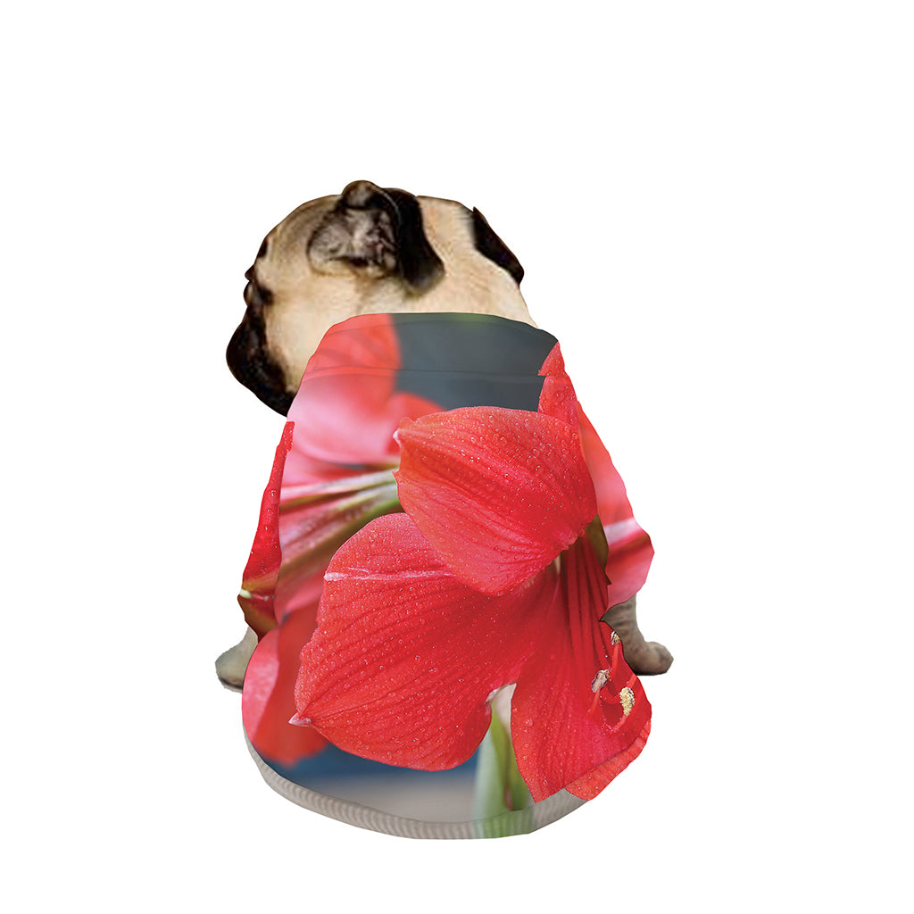 Blooming Amaryllis Print Dog Zip Up Jacket