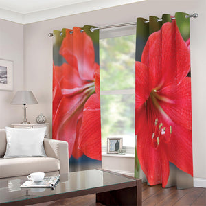 Blooming Amaryllis Print Extra Wide Grommet Curtains