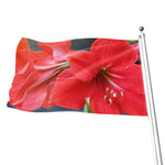 Blooming Amaryllis Print Flag