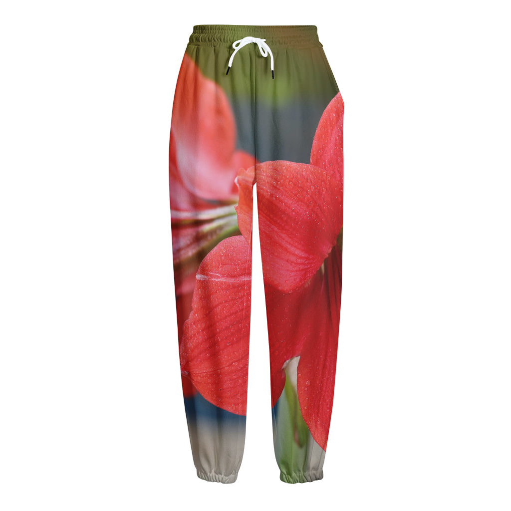 Blooming Amaryllis Print Fleece Lined Knit Pants