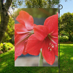 Blooming Amaryllis Print Garden Flag