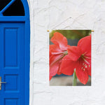 Blooming Amaryllis Print Garden Flag