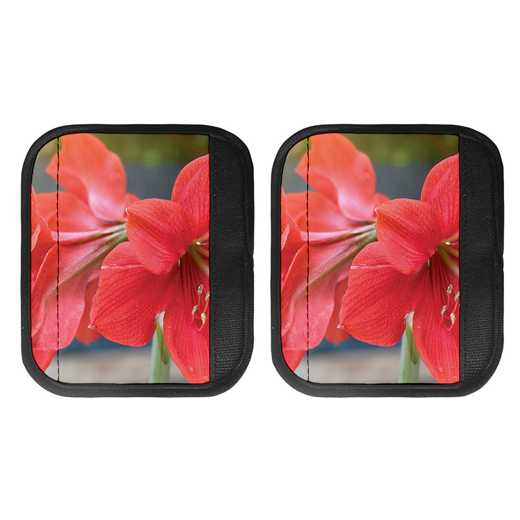Blooming Amaryllis Print Handle Covers
