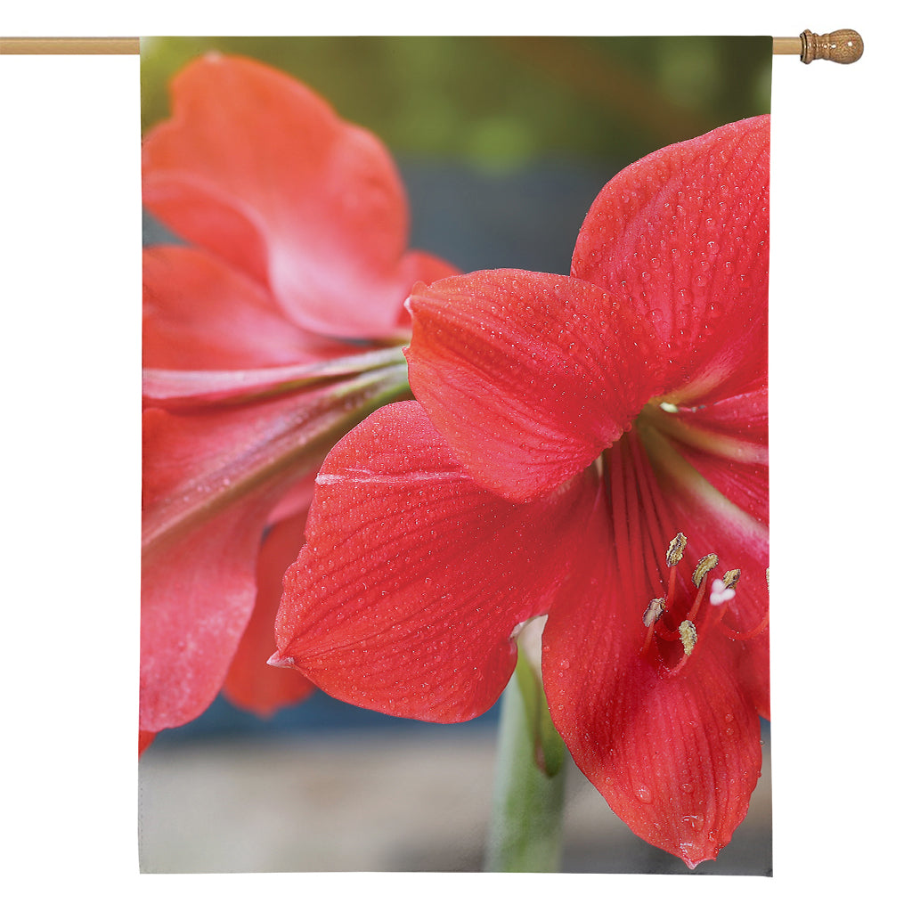 Blooming Amaryllis Print House Flag