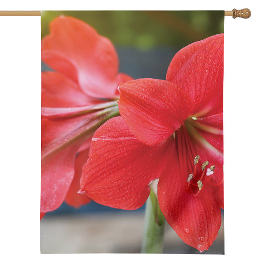 Blooming Amaryllis Print House Flag