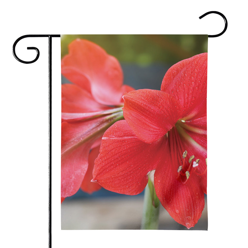 Blooming Amaryllis Print House Flag