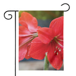 Blooming Amaryllis Print House Flag