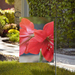 Blooming Amaryllis Print House Flag