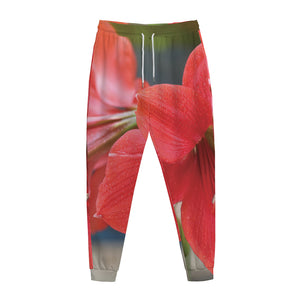 Blooming Amaryllis Print Jogger Pants