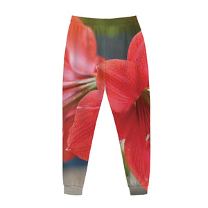 Blooming Amaryllis Print Jogger Pants