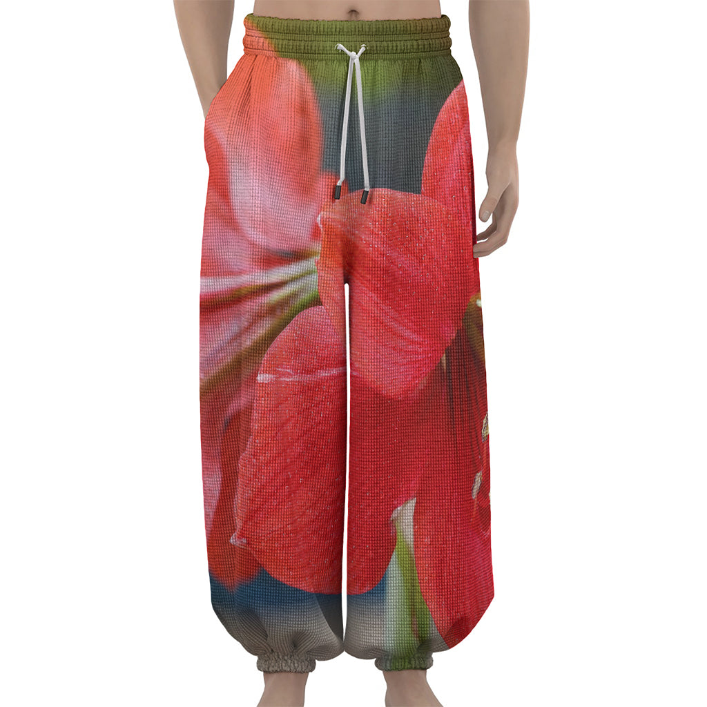 Blooming Amaryllis Print Lantern Pants