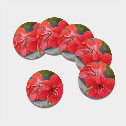 Blooming Amaryllis Print Leather Coaster Set