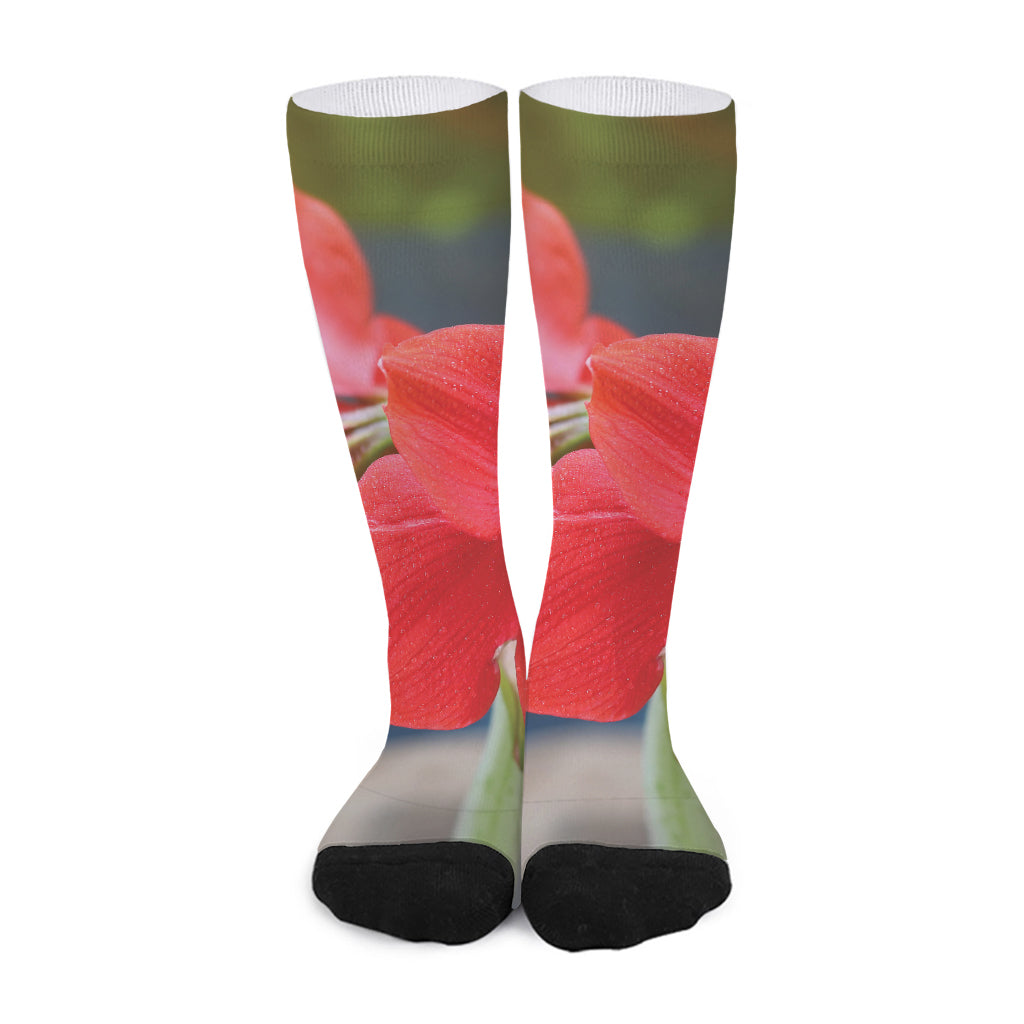 Blooming Amaryllis Print Long Socks