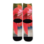 Blooming Amaryllis Print Long Socks