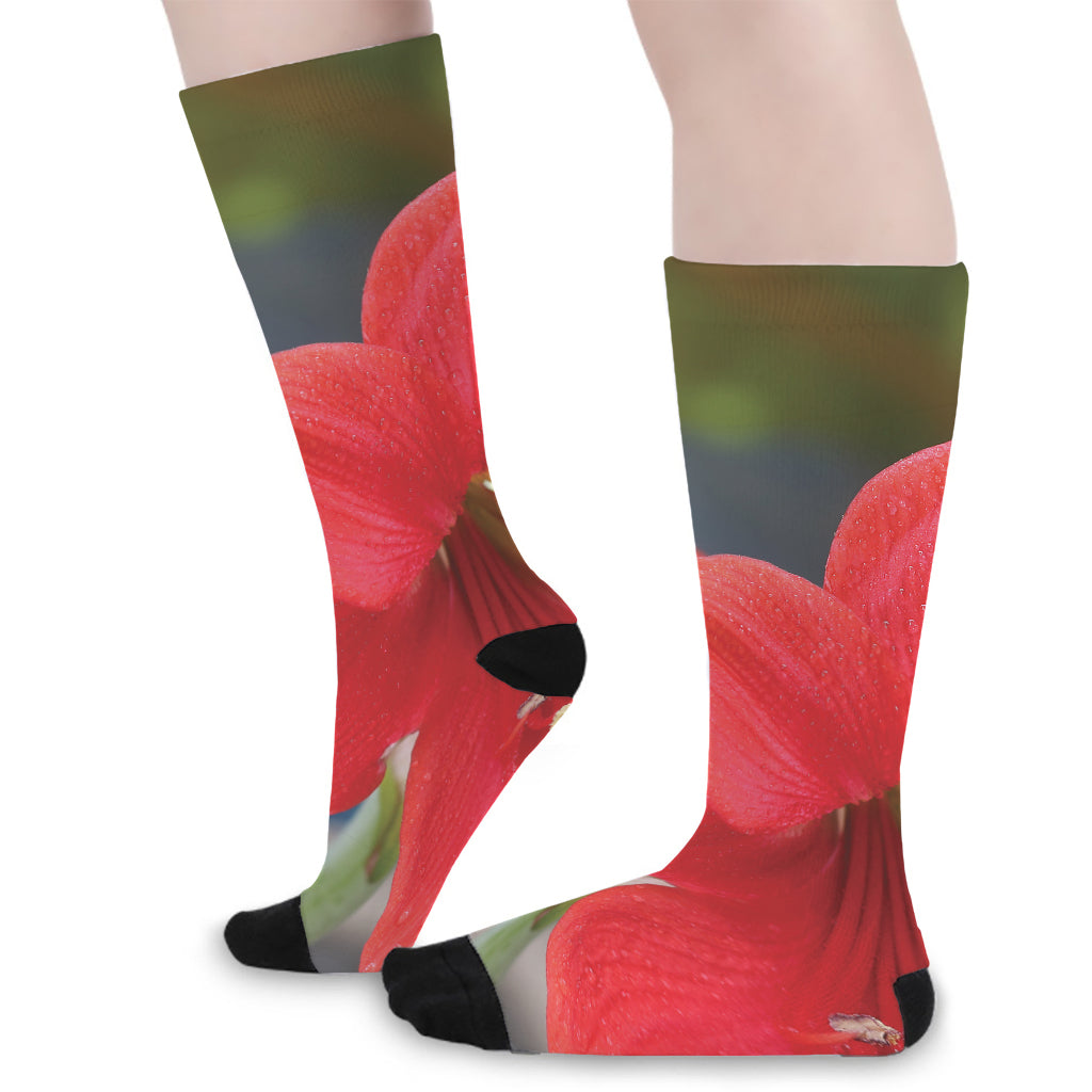 Blooming Amaryllis Print Long Socks