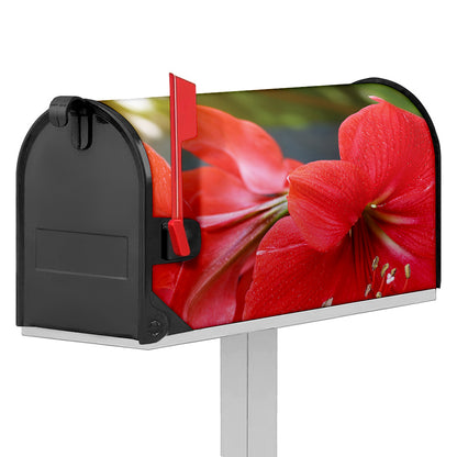 Blooming Amaryllis Print Mailbox Cover