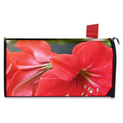 Blooming Amaryllis Print Mailbox Cover