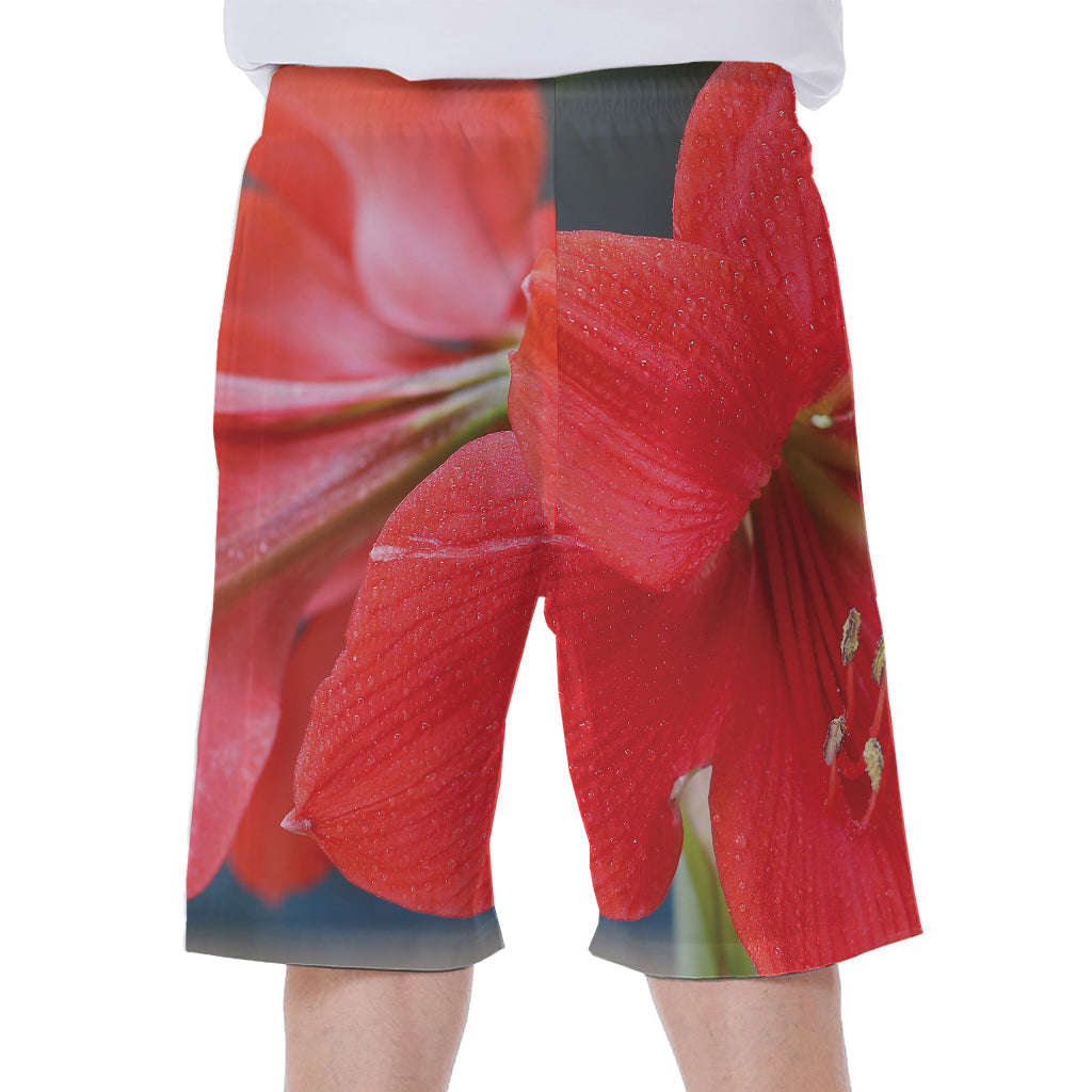 Blooming Amaryllis Print Men's Beach Shorts